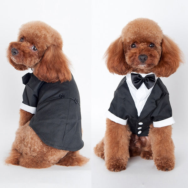 Pet Dog Cat Clothes Prince Wedding Suit Tuxedo Bow Tie Puppy Coat 5 Sizes For Large Small Dog