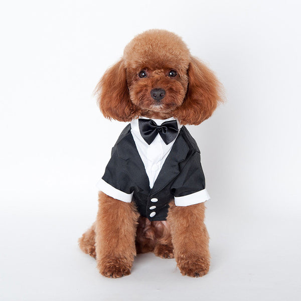 Pet Dog Cat Clothes Prince Wedding Suit Tuxedo Bow Tie Puppy Coat 5 Sizes For Large Small Dog
