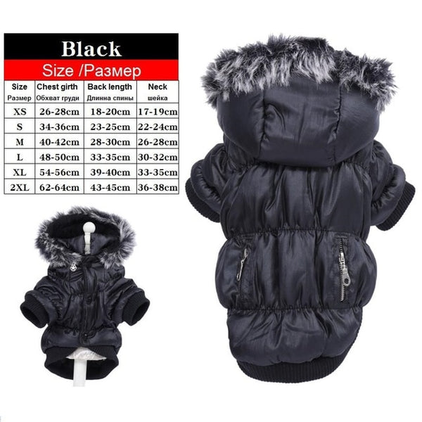 Various Luxury Winter Dog Coat Warm Princess Pet Dog Dress Coat Pet Overalls Winter Dog Clothes Clothing for Dogs Small Pet
