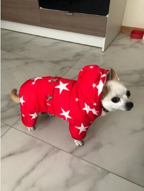 All Stars Winter Warm Dog Clothes waterproof pet coat jacket Chihuahua Yorkshire clothes For dogs