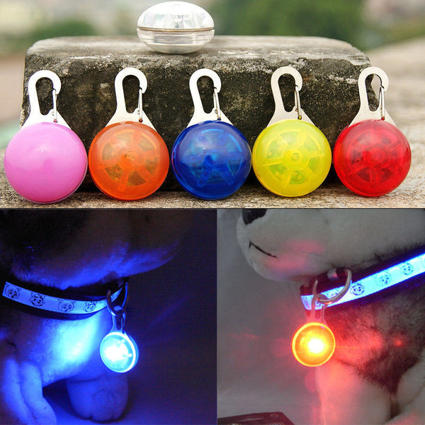 Night Glowing Safety Flashing Led Luminous Dogs Collars Cat Dog Pendants Pet Accessories