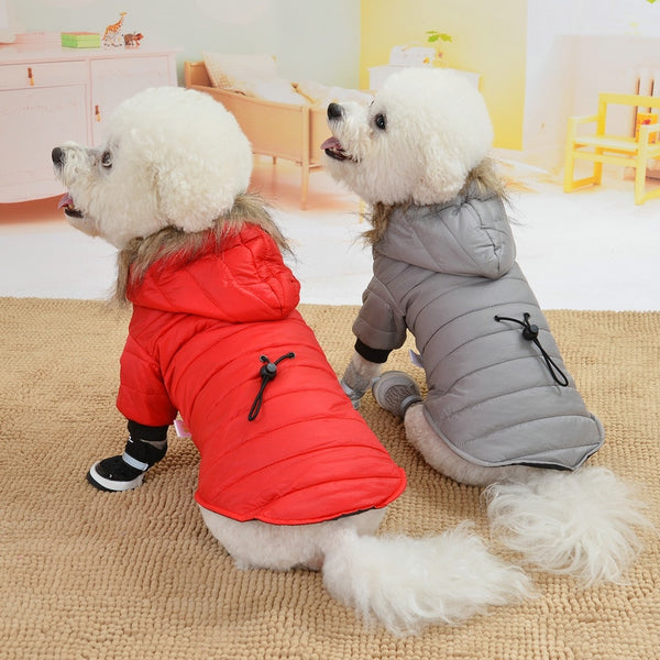Two Feet Dog Jacket for Middle Small Pets Winter Clothes for Doggies Puppy Christmas Clothing Warm Dogs Coat Fur Collar