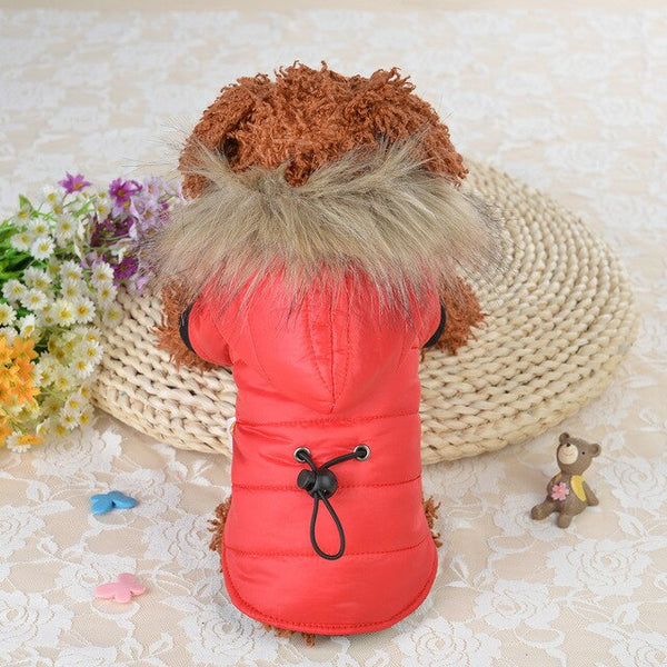 Two Feet Dog Jacket for Middle Small Pets Winter Clothes for Doggies Puppy Christmas Clothing Warm Dogs Coat Fur Collar
