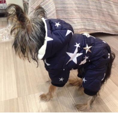 All Stars Winter Warm Dog Clothes waterproof pet coat jacket Chihuahua Yorkshire clothes For dogs
